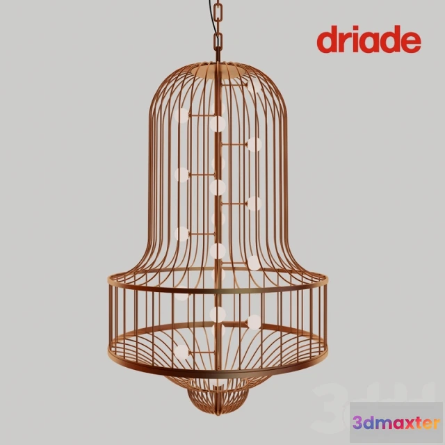 1079560 - Driade luciola - 213117