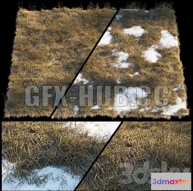 1079596 - Dry grass - 213153