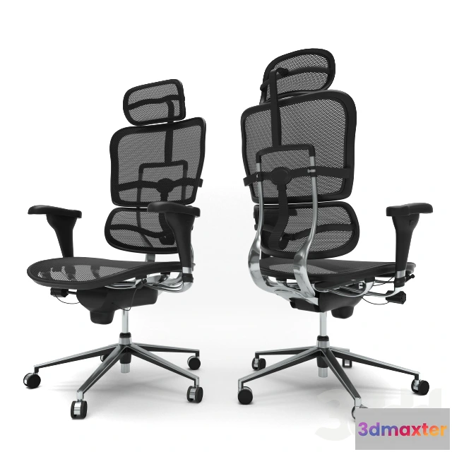 1080256 - Ergohuman - 213813