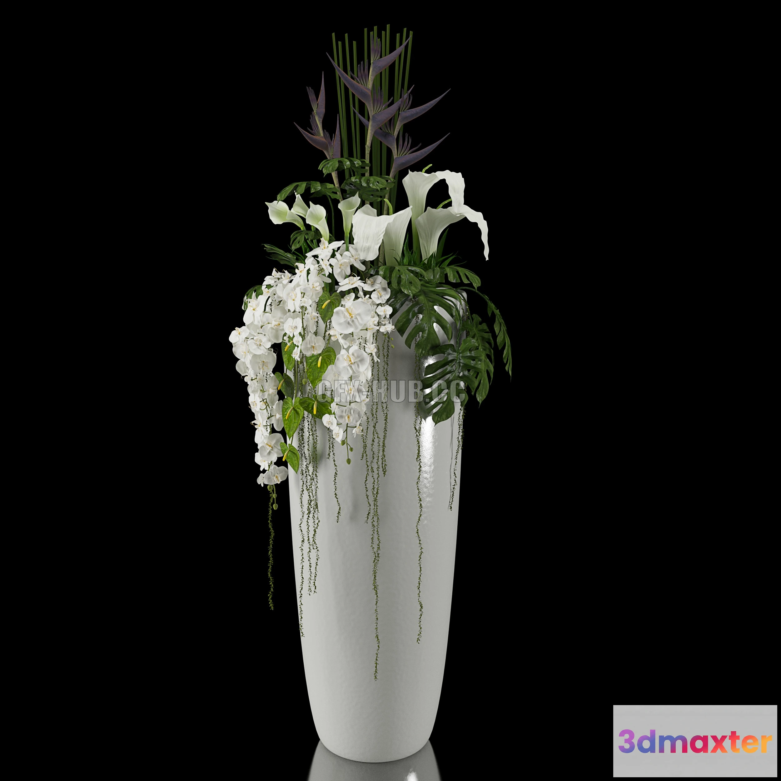 1080406 - EXOTIC arrangement - 213963