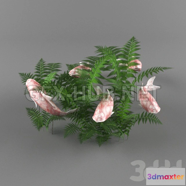 1080928 - Fish koi - 214485