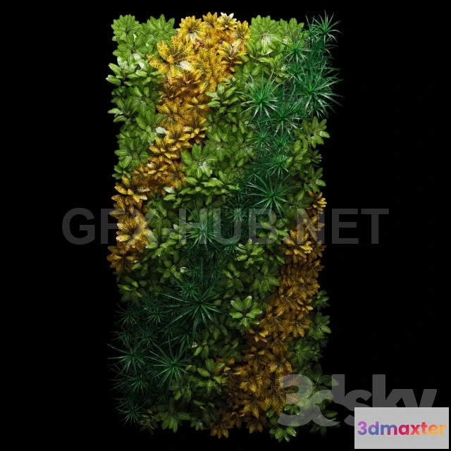 1080938 - Fitostena - 214495