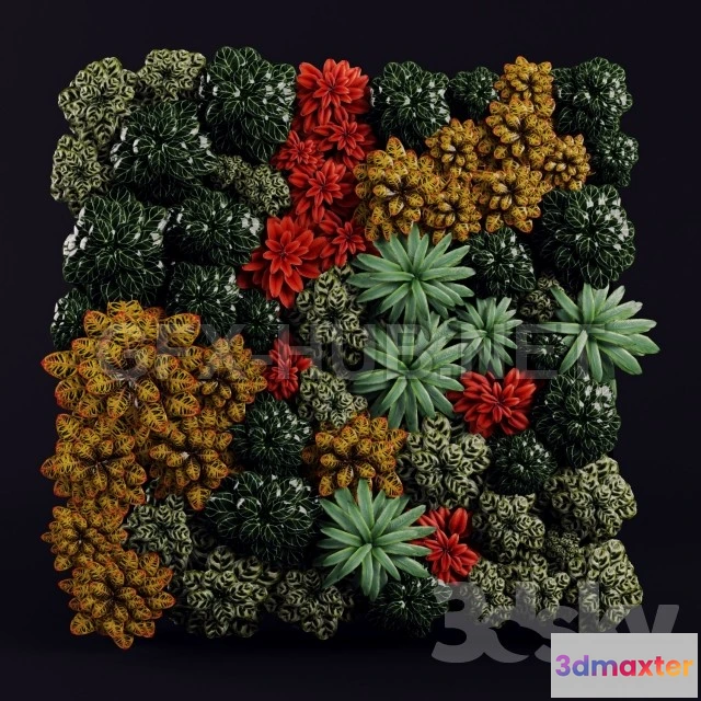 1080942 - Fitostena 03 - 214499