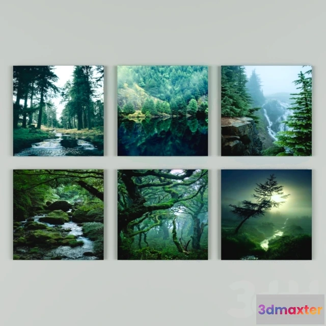 1081252 - Forest_set_1 - 214809