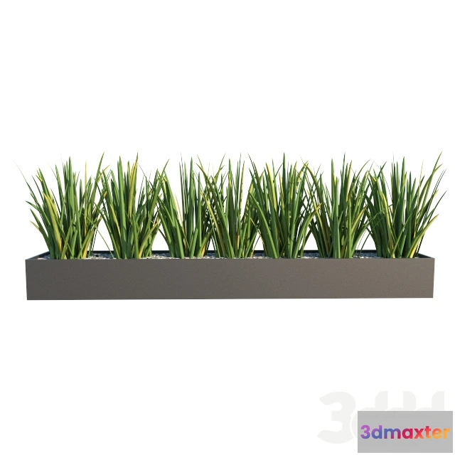 1081304 - Fornios Box - 214861