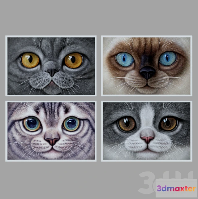 1081356 - frame cat - 214913