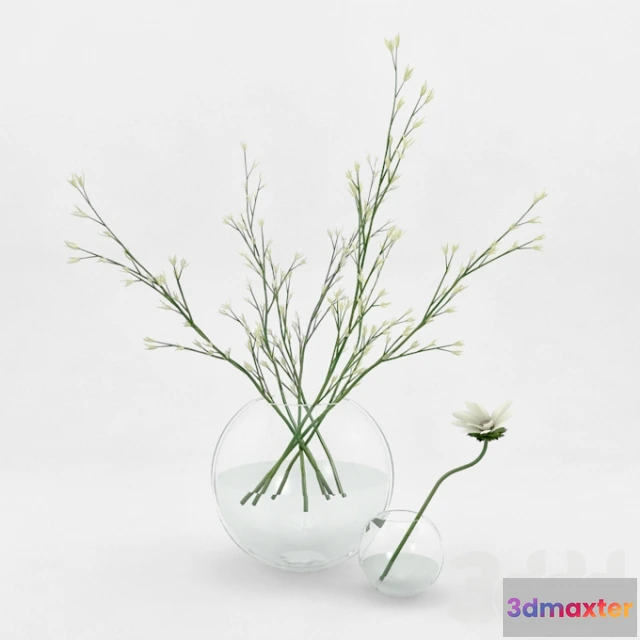 1082898 - honeysuckle - 216455