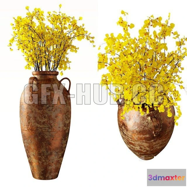 1083114 - Hydria Oncidium - 216671