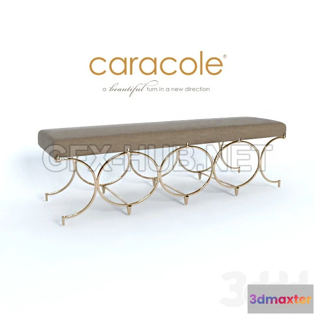 1083618 - Infinite Possibilities Caracole - 217175