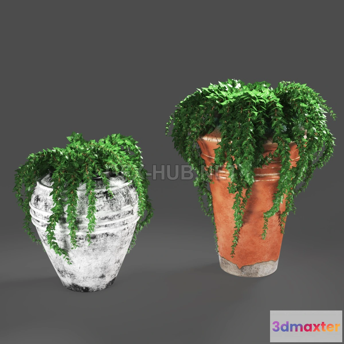 1083812 - Ivy In Pots 3D MODEL - 217369