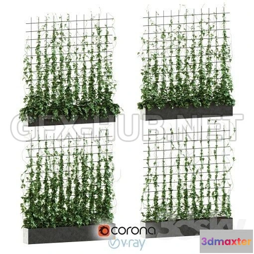 1083814 - Ivy on the grid 3d Model - 217371