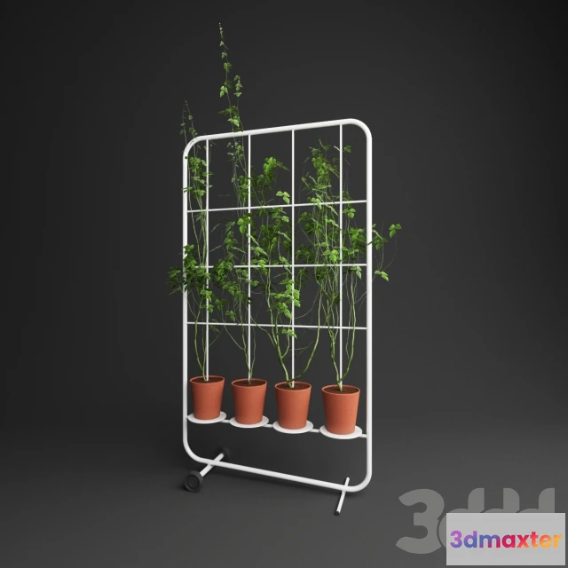 1083816 - Ivy set 01 - 217373