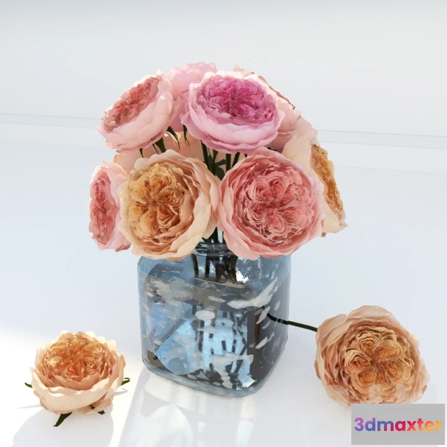 1083976 - JULIET ROSES - 217533