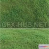 1085098 - Lawn grass (VrayCorona) 3d Model - 218655