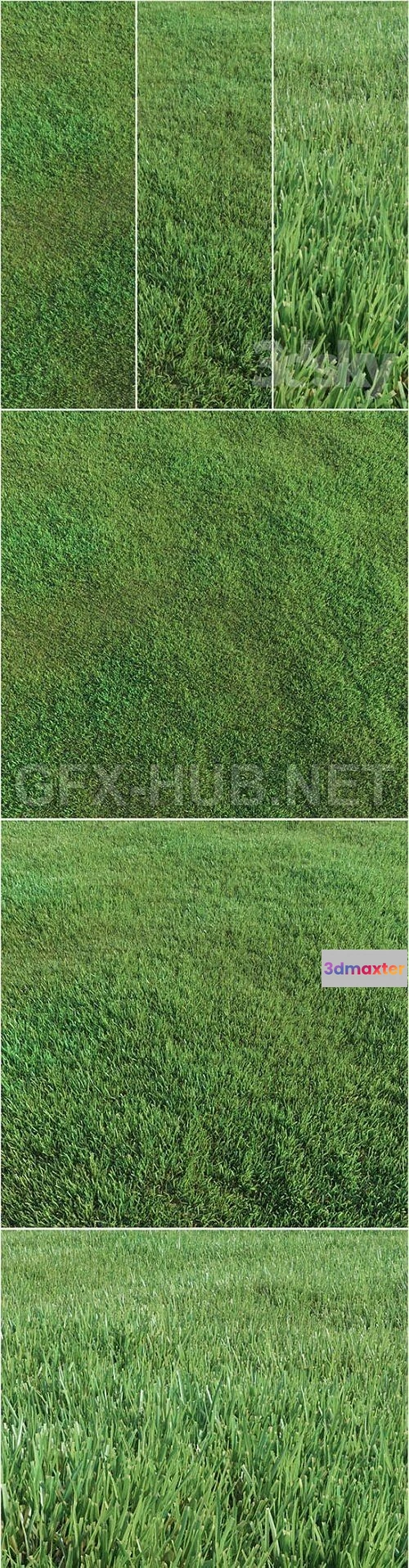 1085098 - Lawn grass (VrayCorona) 3d Model - 218655