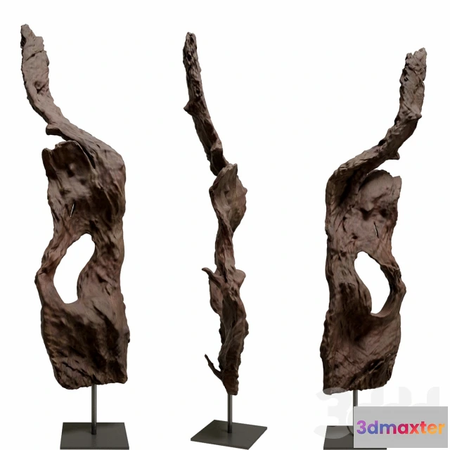 1086090 - mangove root - 219647