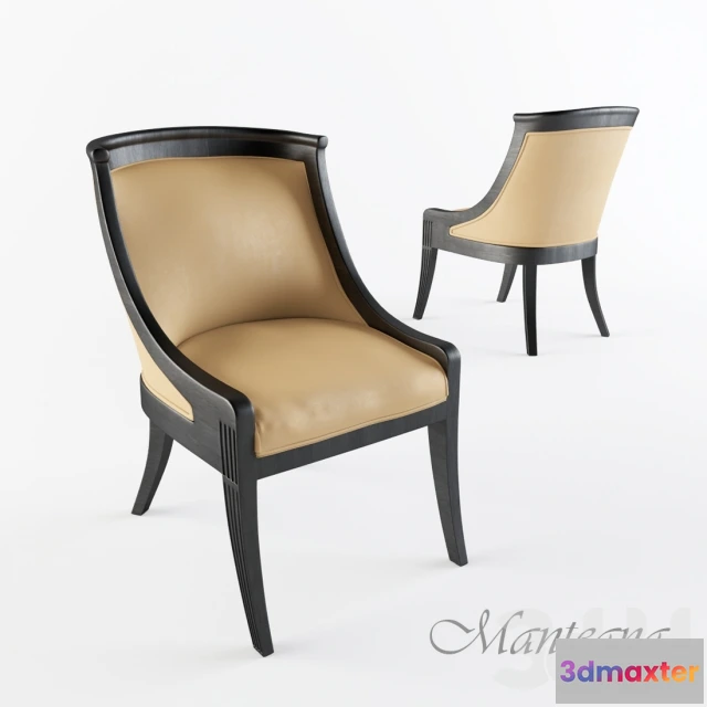 1086096 - mantegna - 219653