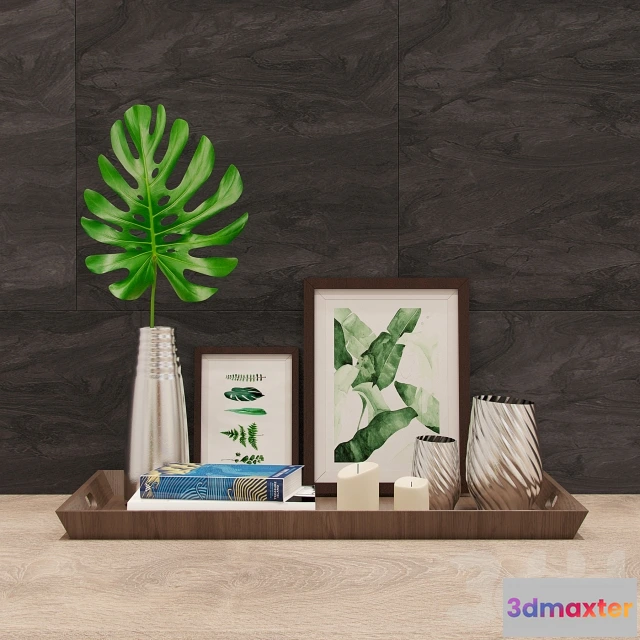 1087240 - Monstera set - 220797