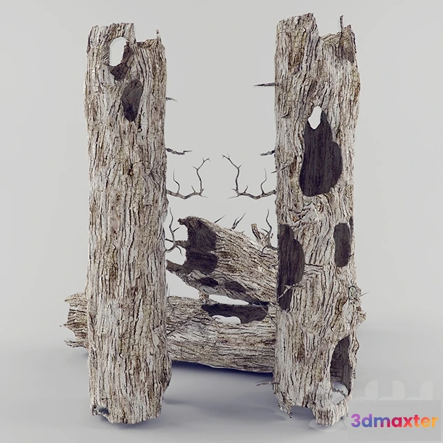 1087992 - Old Wood - 221549