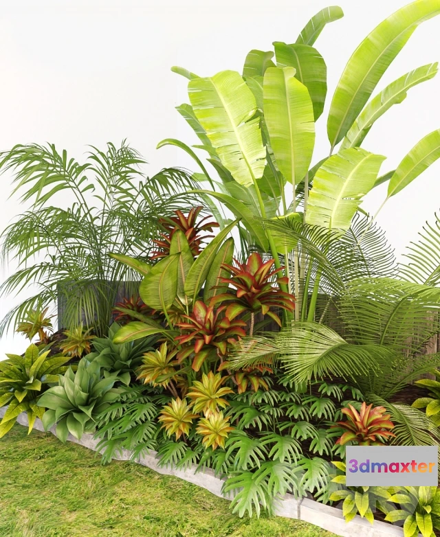 1088484 - Palm Composition - 222041