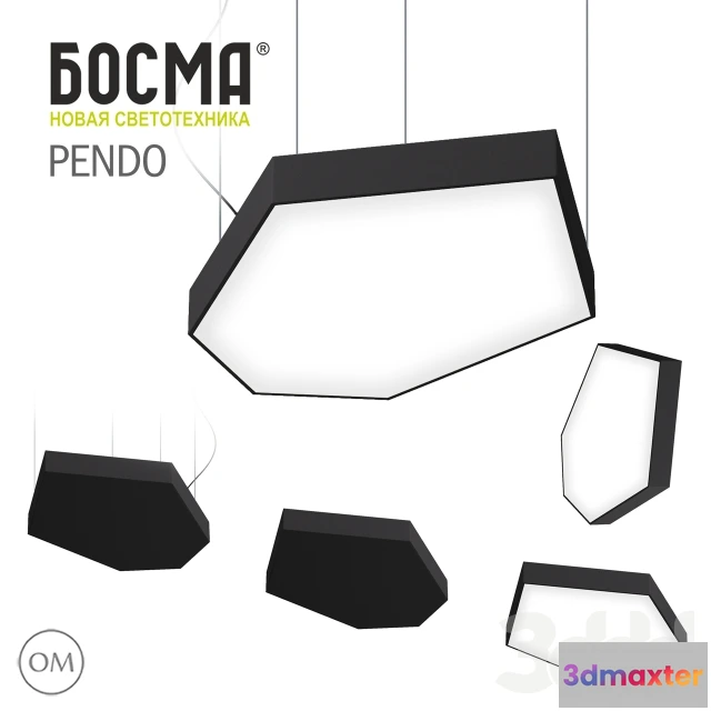 1088736 - PENDO BOSMA - 222293