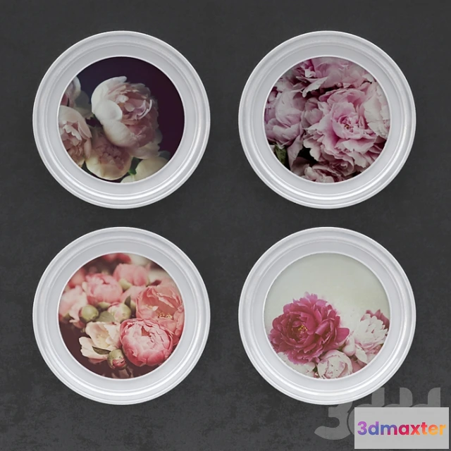 1088746 - peonies picture - 222303