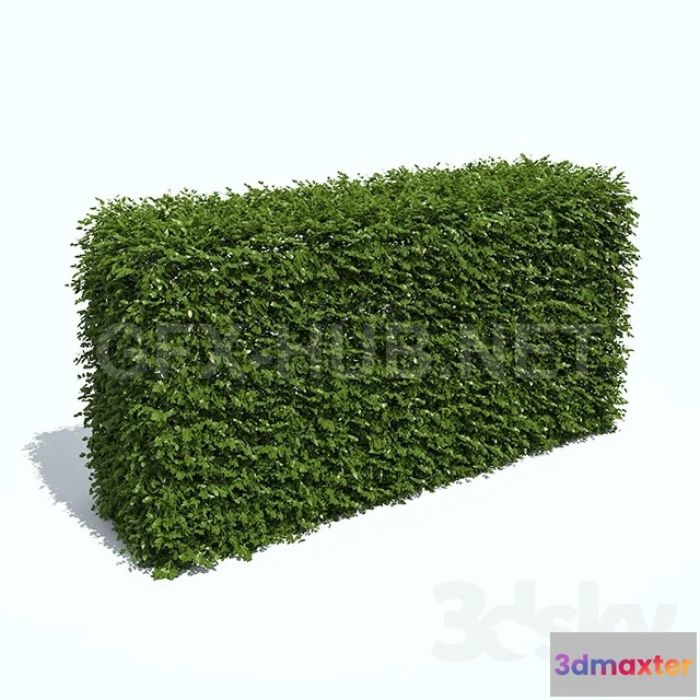 1090080 - Regular hedges - 223637