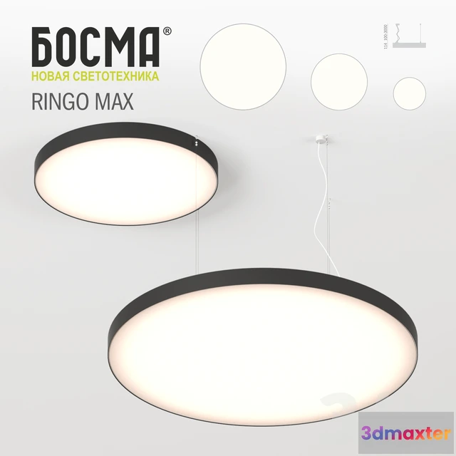 1090402 - RINGO MAX  BOSMA - 223959