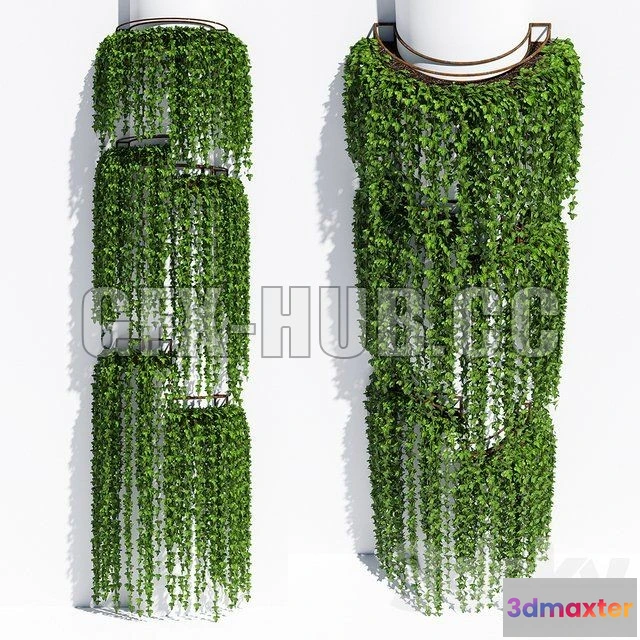 1090668 - Round box ivy - 224225