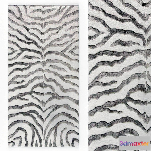 1090766 - RUG Safari Contemporary Zebra - 224323