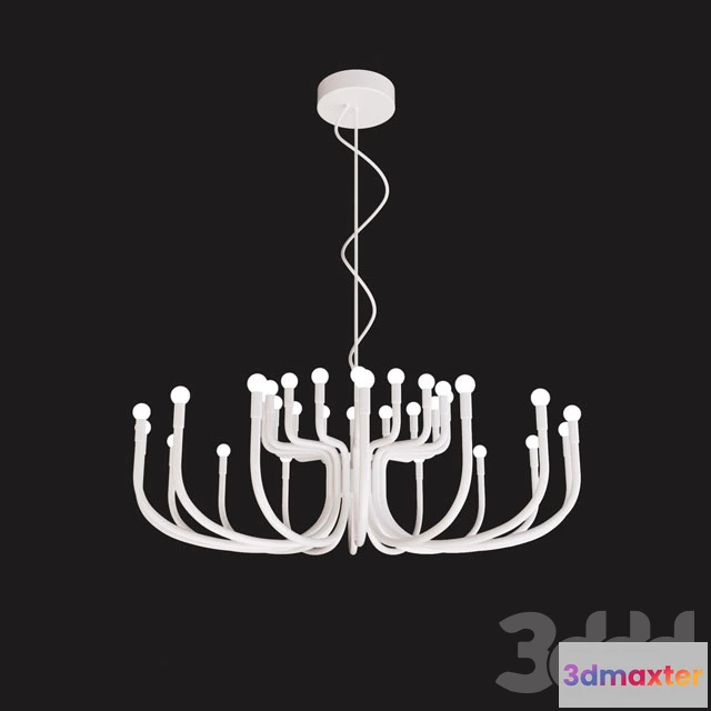 1091904 - SNOOB - 225461