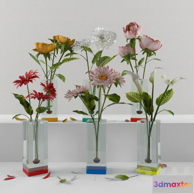 1092446 - Spring - 226003