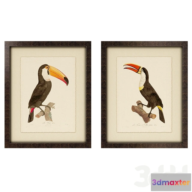 1093764 - Toucan Framed Art - 227321