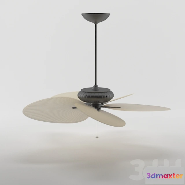 1093972 - Tropical Belleria Fan - 227529