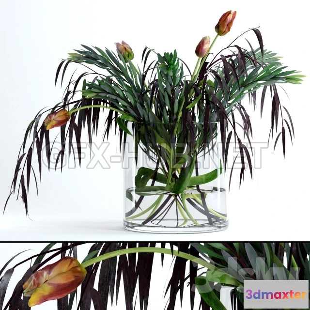 1094028 - Tulips  Co - 227585