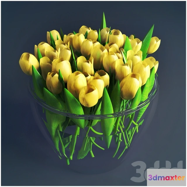 1094034 - tulpan - 227591