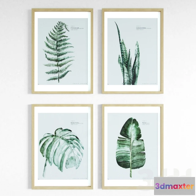 1094192 - Urban Botanic Set_1 - 227749