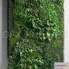 1094456 - Vertical Garden 2 - 228013