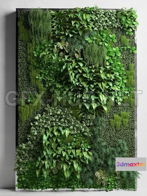 1094456 - Vertical Garden 2 - 228013