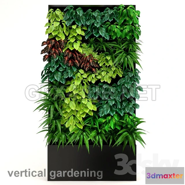 1094458 - Vertical gardening 2 - 228015