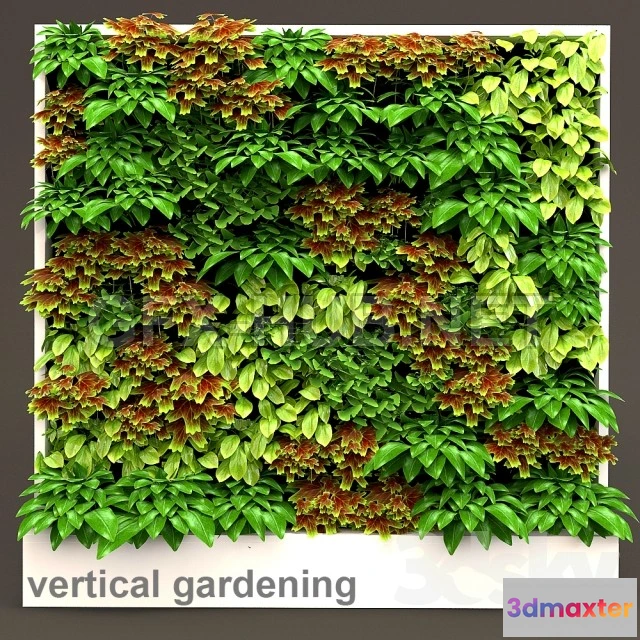 1094460 - Vertical gardening 3 - 228017