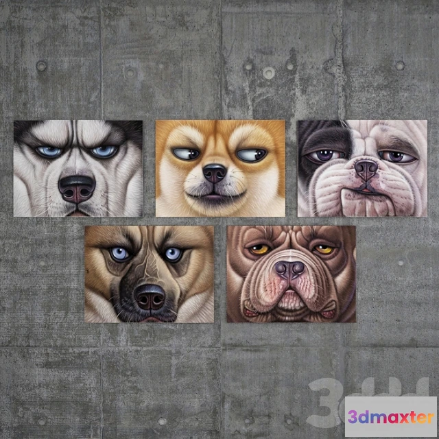 1095108 - What a dog’s head - 228665