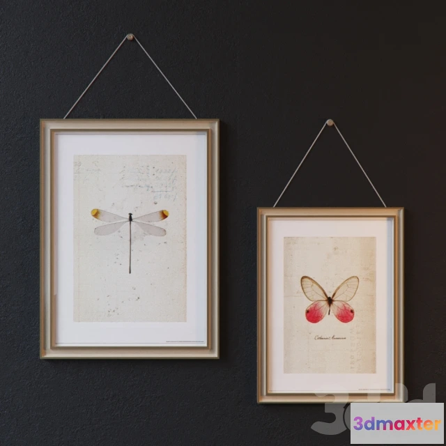 1095134 - White Frames - 228691