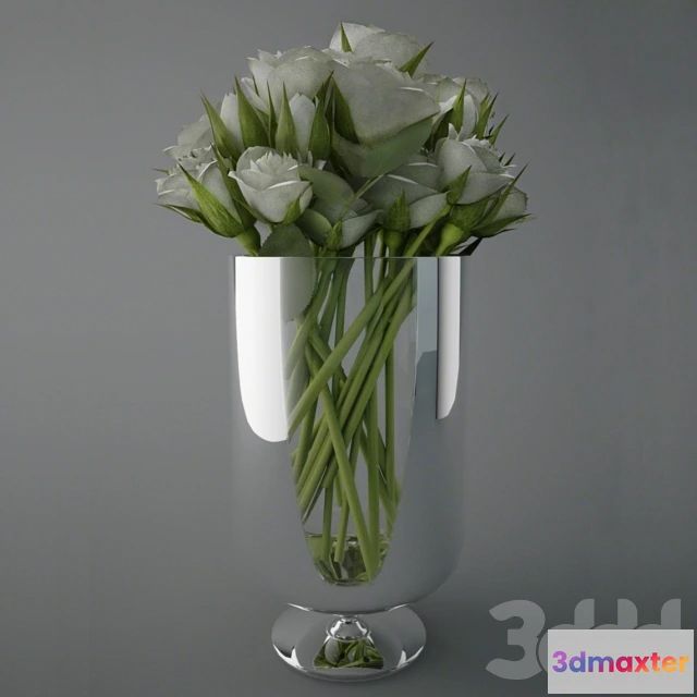 1095142 - White Roses - 228699