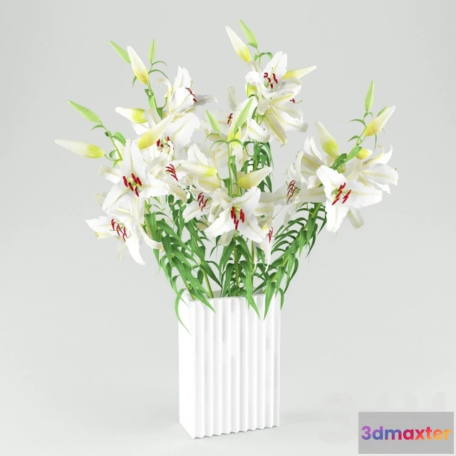 1096098 - Белые лилии - 229655