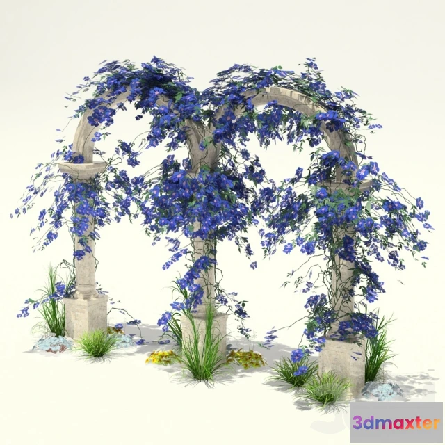 1098860 - Клематис - 232417