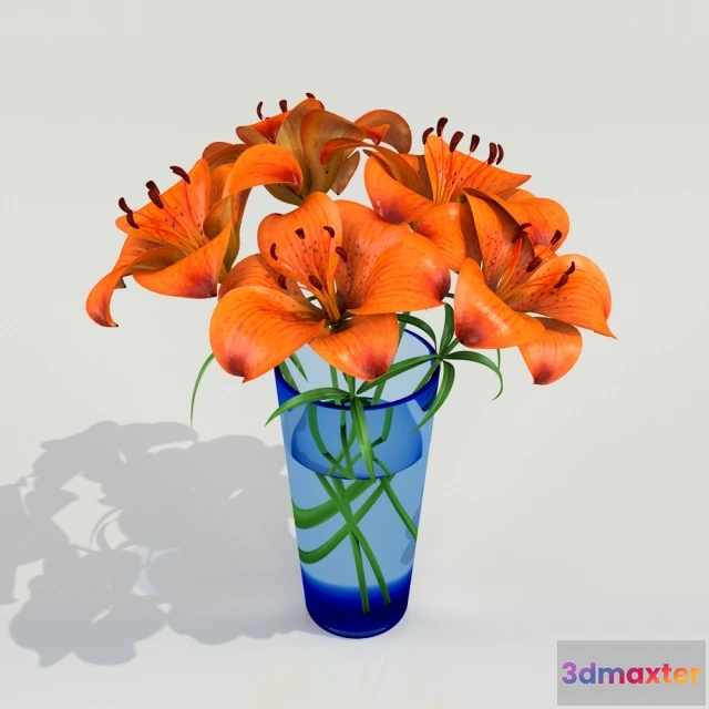 1101012 - Лилии - 234569