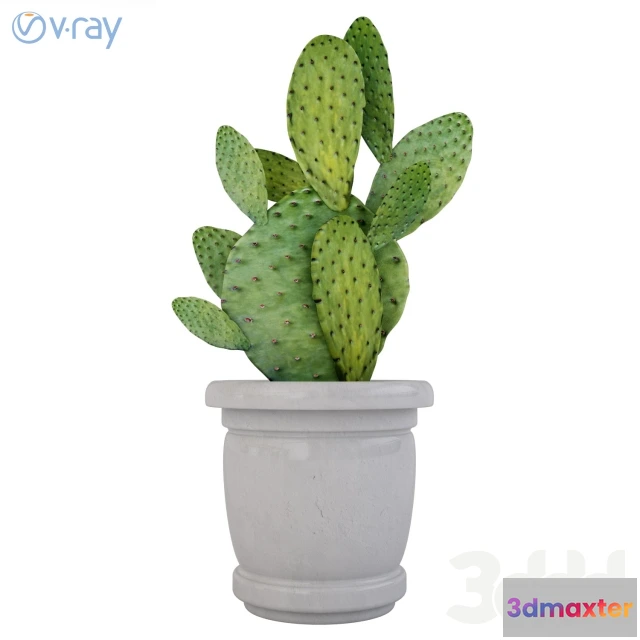 1102834 - Опунция - 236391