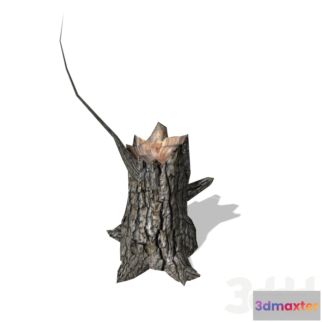 1103026 - Пень - Stump - 00013 - 236583