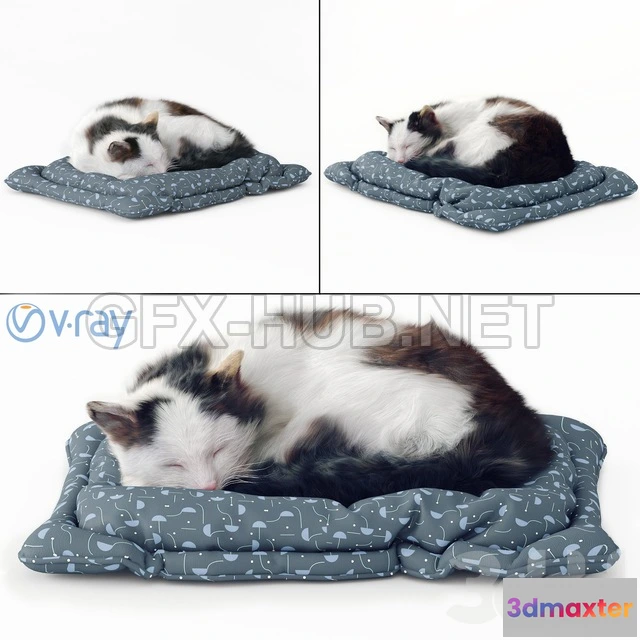 1103844 - Пушистый кот - 237401